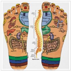physiotherapist equipments